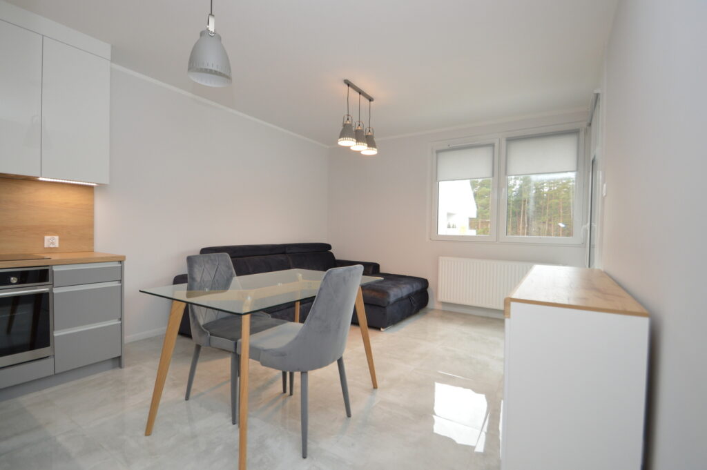 Nowe mieszkanie do wynajęcia - zdjęcie 1