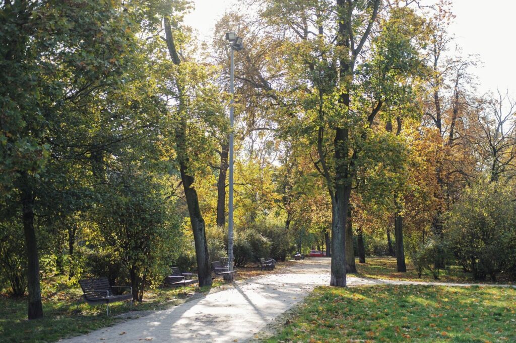 Mieszkanie o pow. 180m2 dla miłośników kamienic - zdjęcie 21