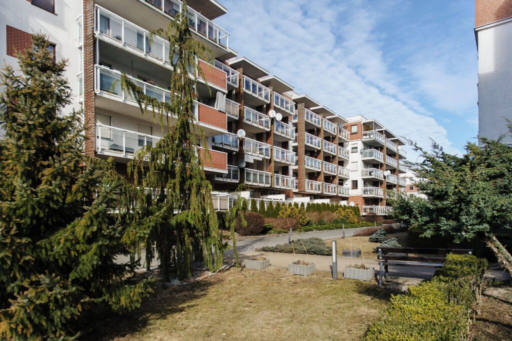 Dzień Pokazowy wtorek 10.03. - zdjęcie 16