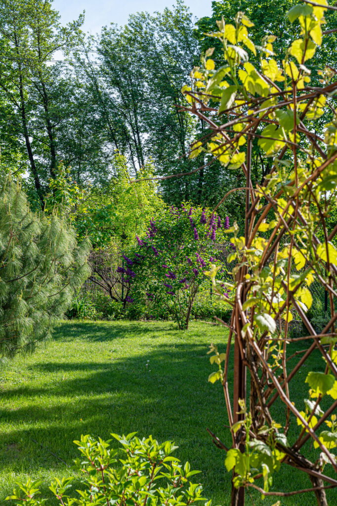 30 min od Centrum Warszawy – dom z dużą działką - zdjęcie 39