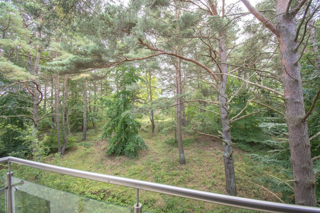 Jastrzębia Góra, pierwsza linia brzegowa, 32,1m2 - zdjęcie 2