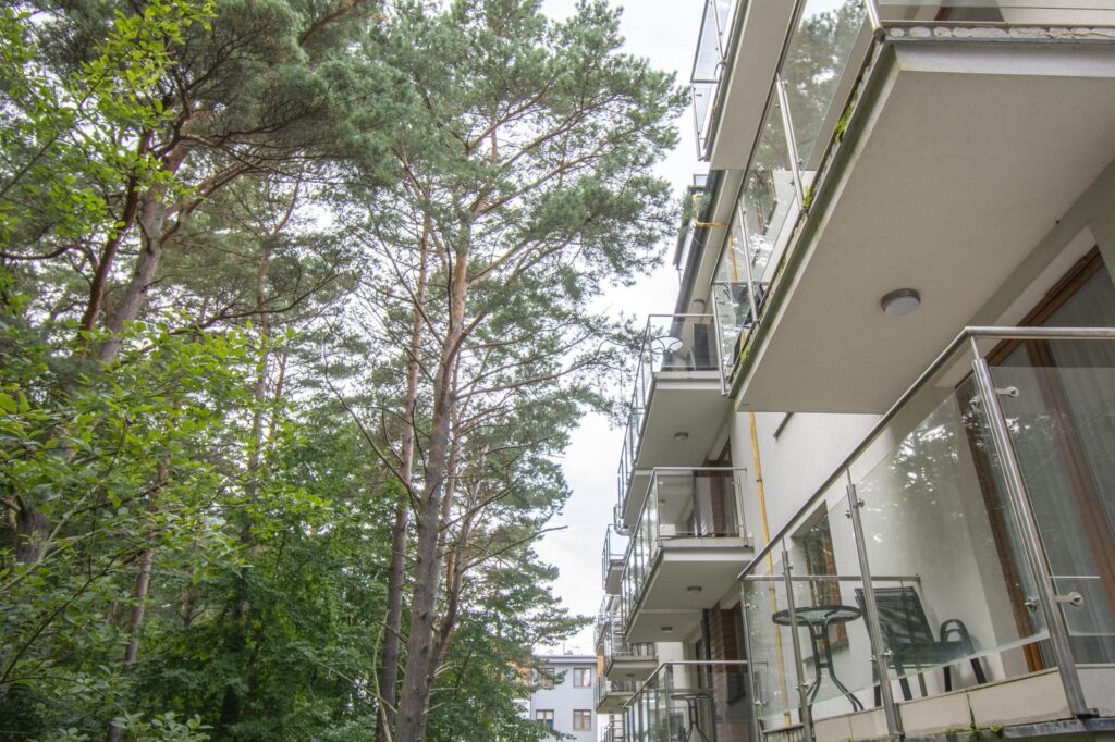 Jastrzębia Góra, pierwsza linia brzegowa, 32,1m2 - zdjęcie 23