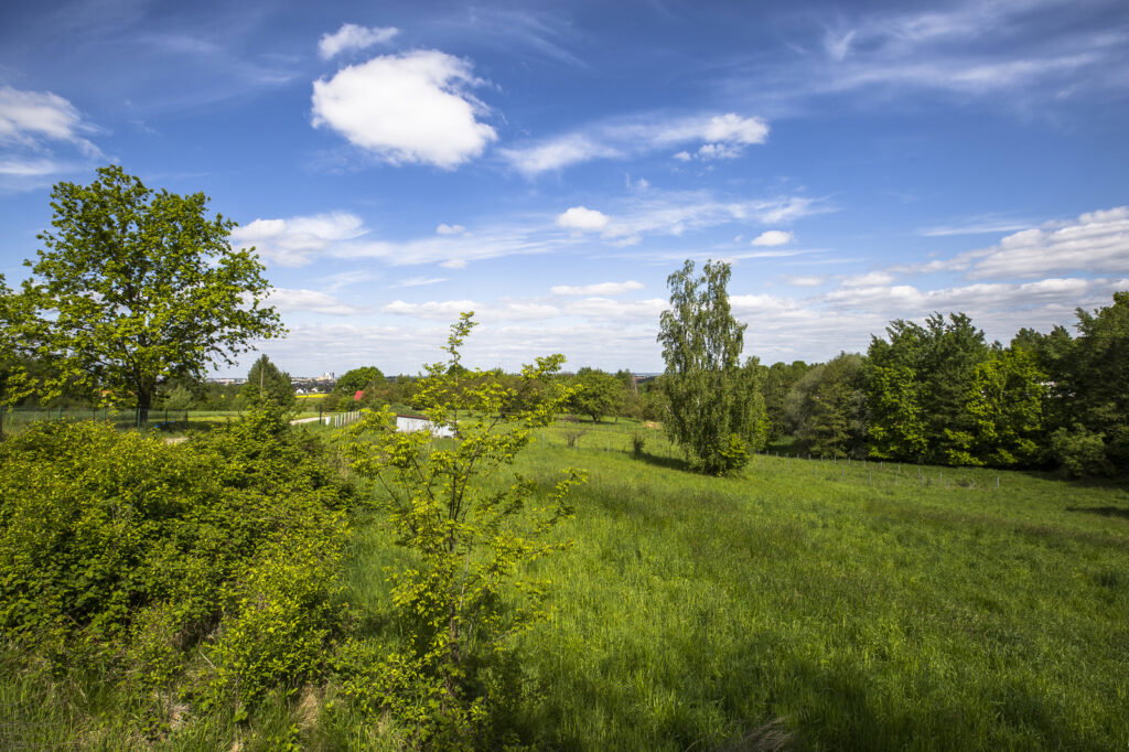 Działka widokowa Rzeszów - zdjęcie 8
