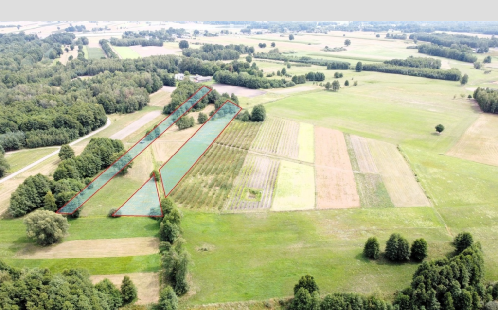 Kompleks gruntów 4,74 ha w gm. Kazanów - zdjęcie 1