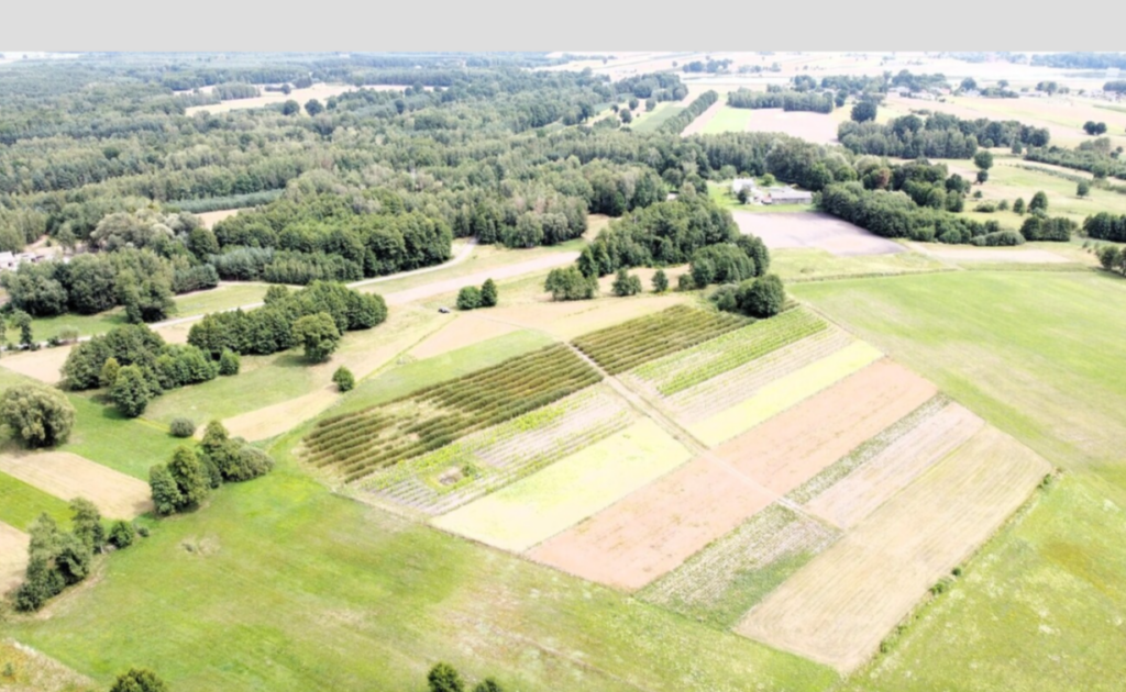 Kompleks gruntów 4,74 ha w gm. Kazanów - zdjęcie 2