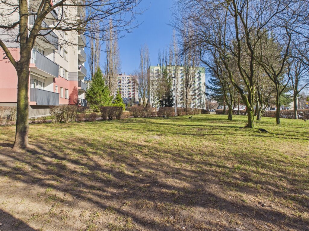 2 pokoje, 50 m² – Częstochowa, Tysiąclecie - zdjęcie 12