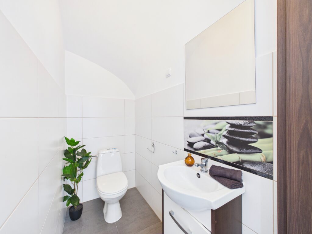 Dom z garażem w atrakcyjnej lokalizacji - zdjęcie 9