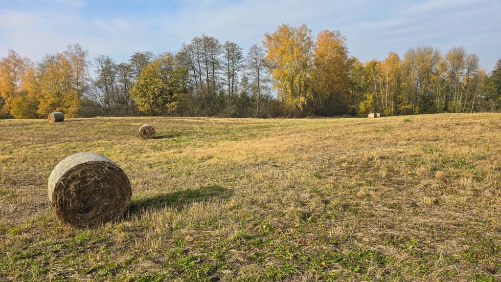 Piękna działka z widokiem na jezioro i WZ - zdjęcie 5