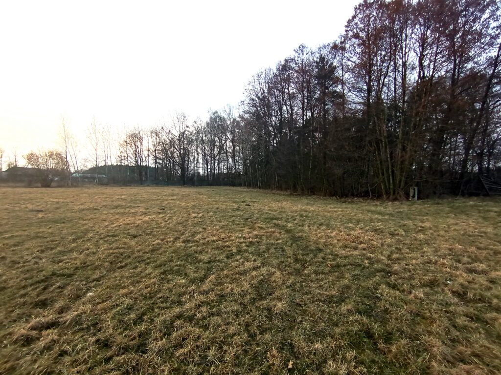 Działka budowlana z lasem, blisko autostrady A1 - zdjęcie 1