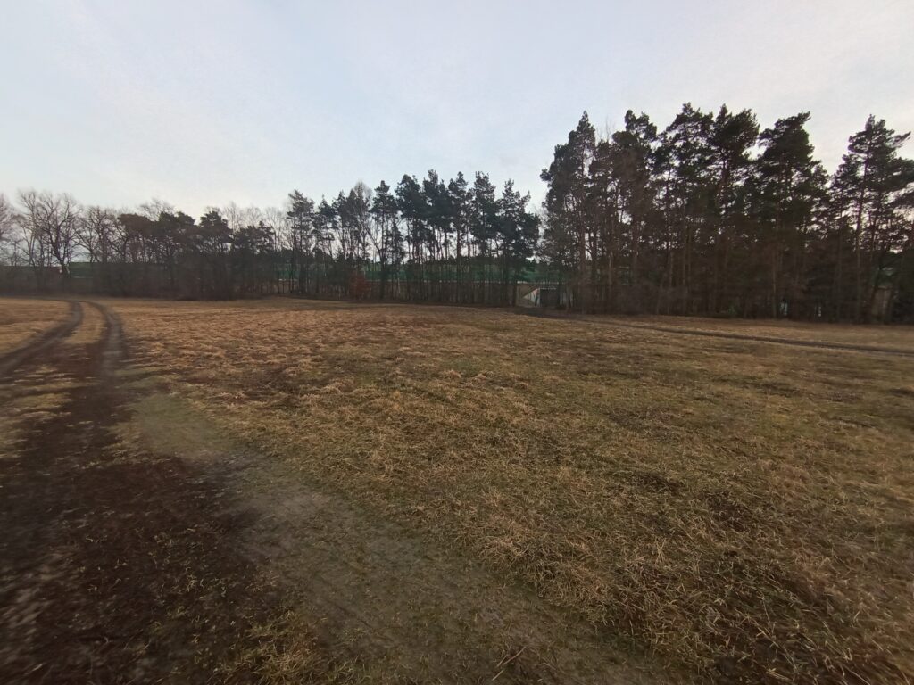 Działka budowlana z lasem, blisko autostrady A1 - zdjęcie 2