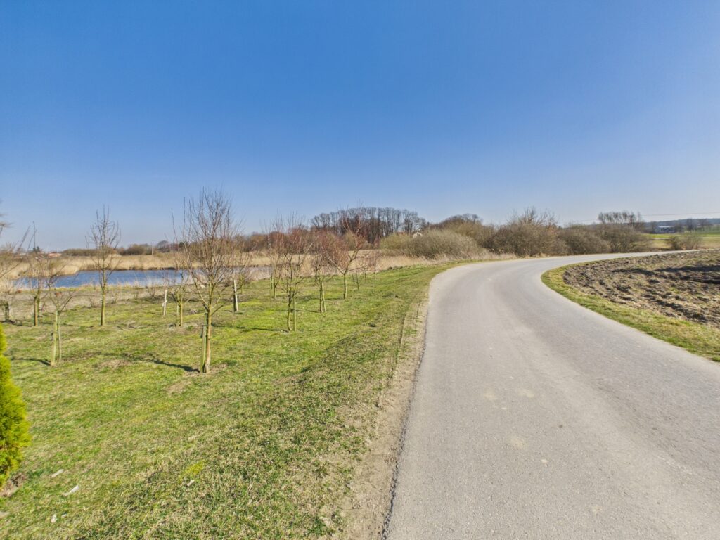 Działka 0,52 ha, gm.Borzechów - zdjęcie 9