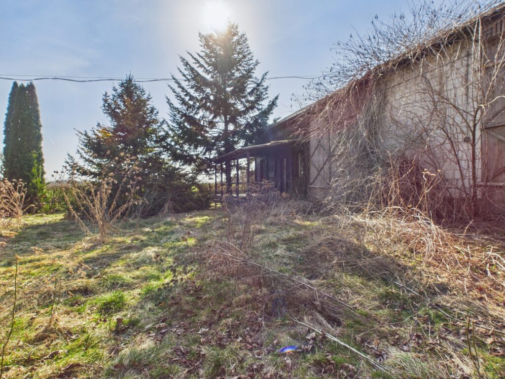 Działka 0,52 ha, gm.Borzechów - zdjęcie 13