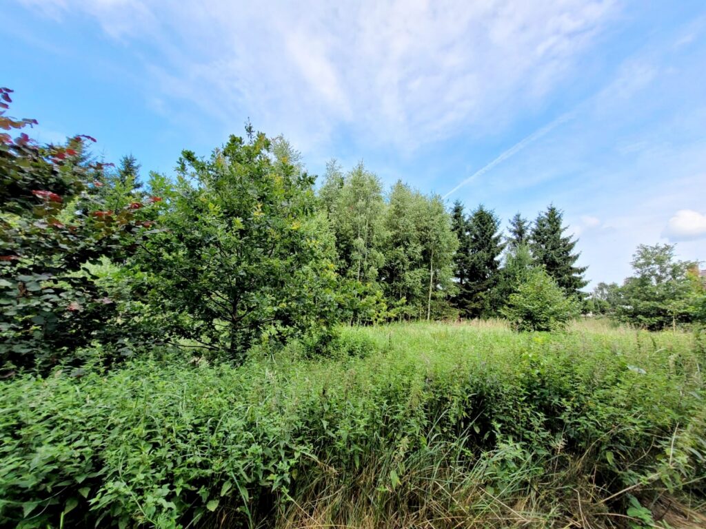 Działka z WZ  w otulinie natury – Kodrąbek 1607m2 - zdjęcie 6