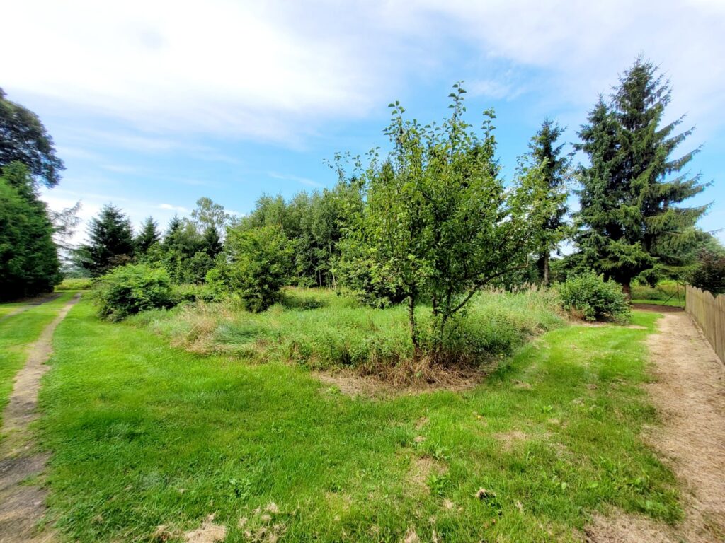 Działka z WZ  w otulinie natury – Kodrąbek 1607m2 - zdjęcie 7