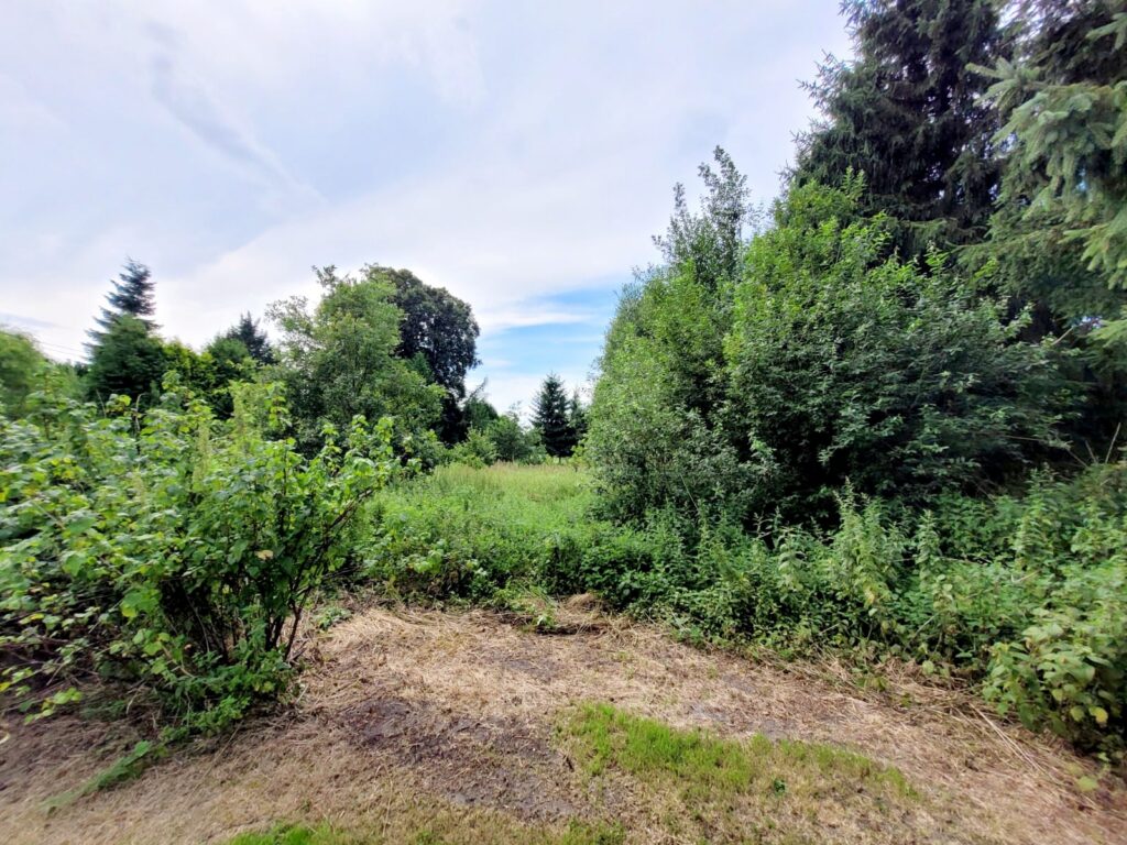 Działka z WZ  w otulinie natury – Kodrąbek 1607m2 - zdjęcie 9