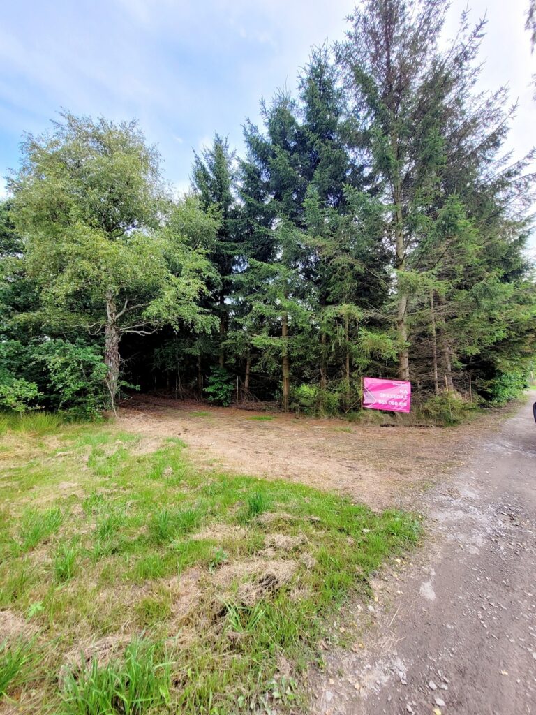 Działka z WZ  w otulinie natury – Kodrąbek 1607m2 - zdjęcie 11