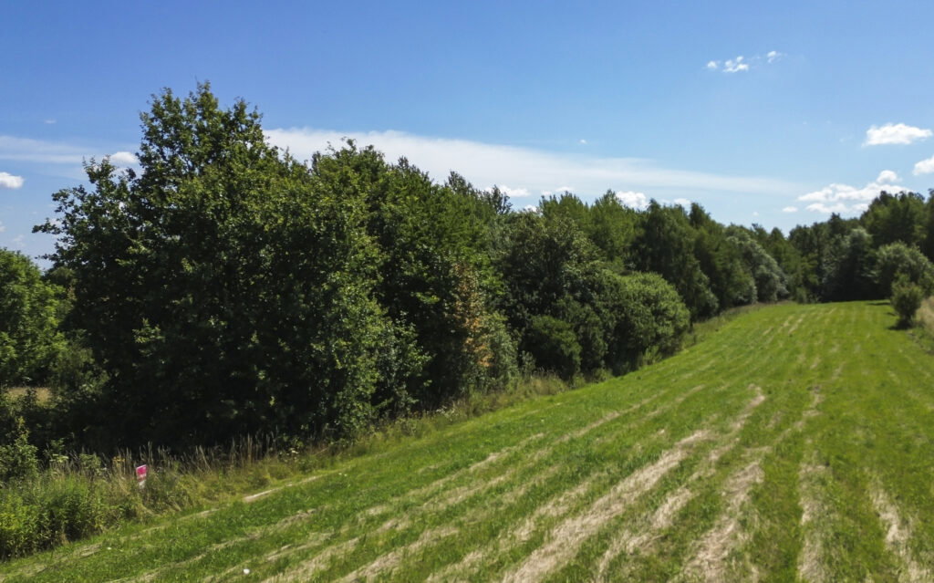 Działka 72 ar przy lesie – 2 WZ w toku - zdjęcie 5
