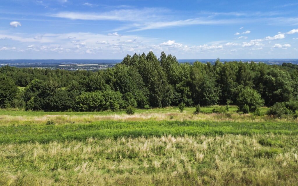 Działka 72 ar przy lesie – 2 WZ w toku - zdjęcie 3