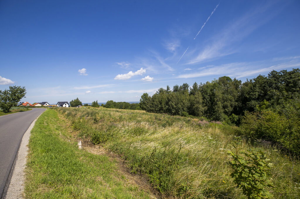 Działka 72 ar przy lesie – 2 WZ w toku - zdjęcie 1