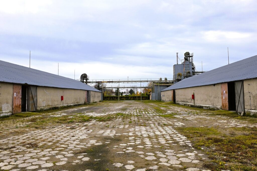 Baza magazynowa, silosy, wagi - Barciany - zdjęcie 5
