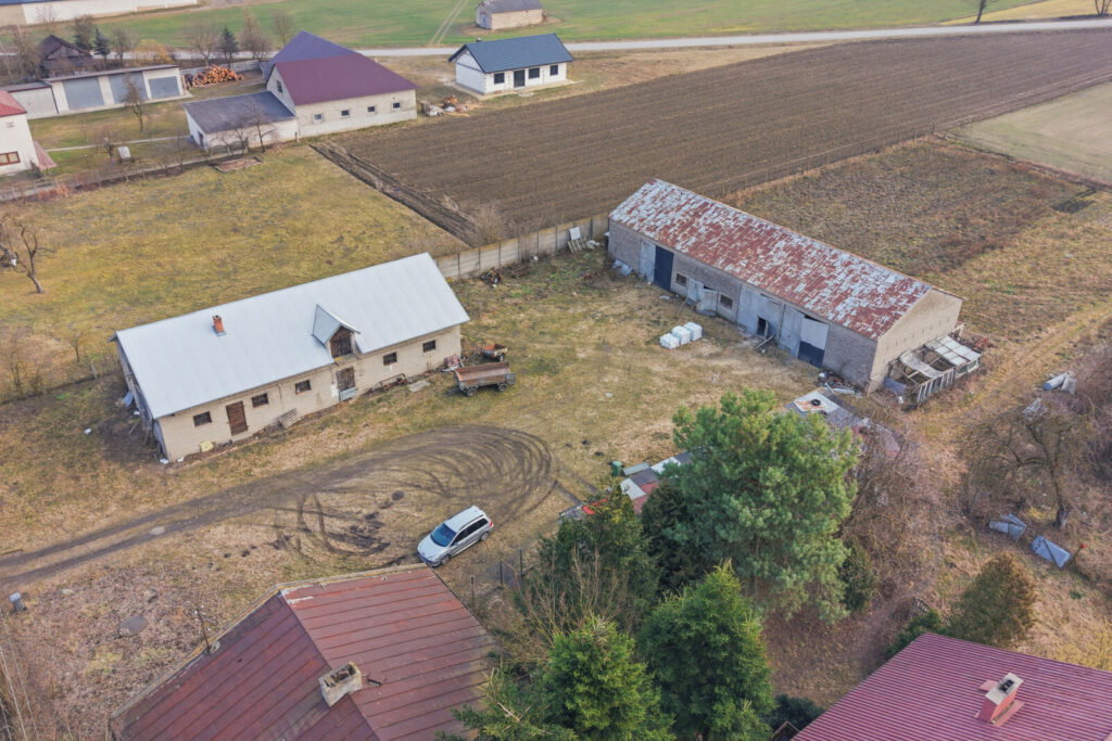 11 ha w Korytnie gm. Masłowice - zdjęcie 3