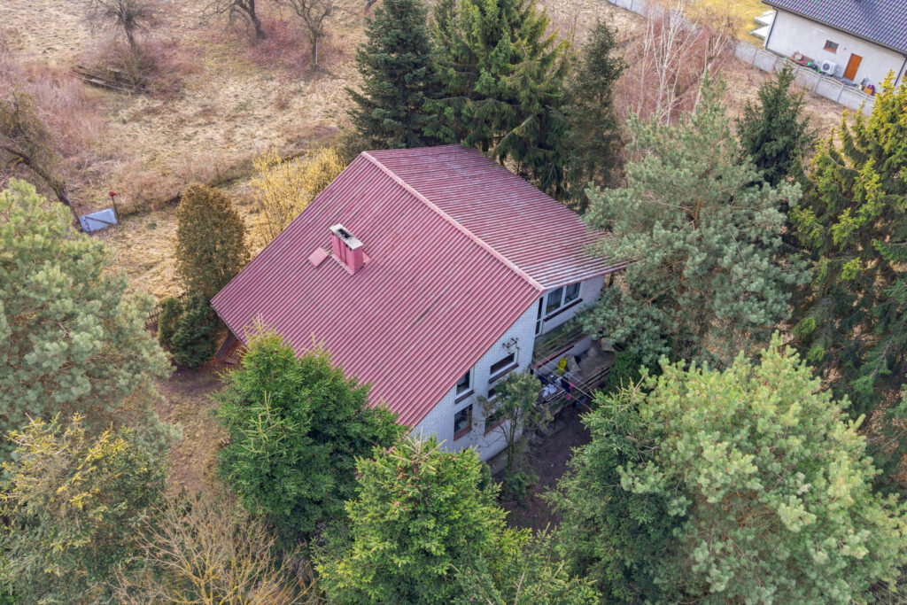 11 ha w Korytnie gm. Masłowice - zdjęcie 11