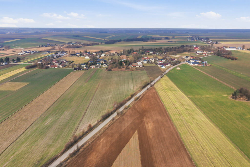 11 ha w Korytnie gm. Masłowice - zdjęcie 12