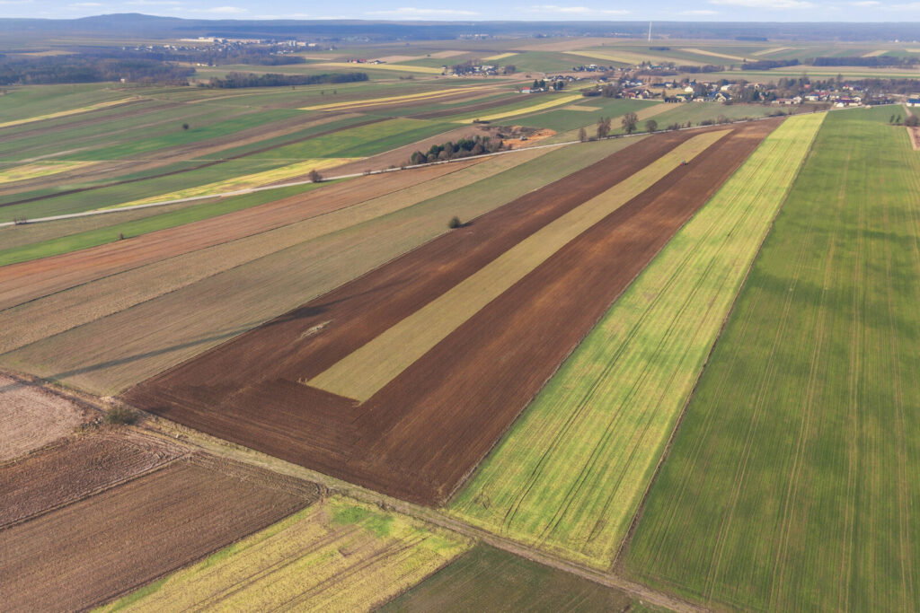 11 ha w Korytnie gm. Masłowice - zdjęcie 13