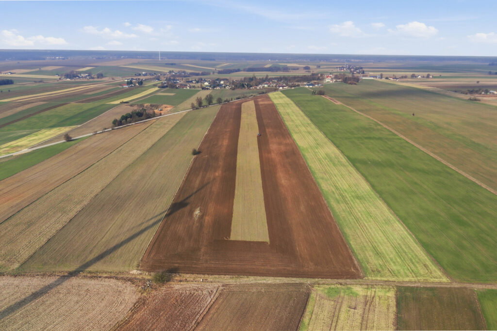 11 ha w Korytnie gm. Masłowice - zdjęcie 14
