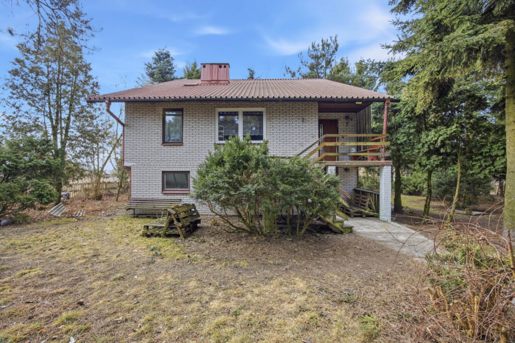 11 ha w Korytnie gm. Masłowice - zdjęcie 6