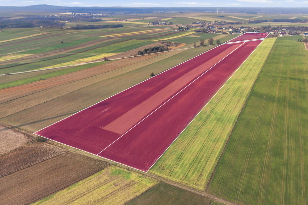 11 ha w Korytnie gm. Masłowice - zdjęcie 2