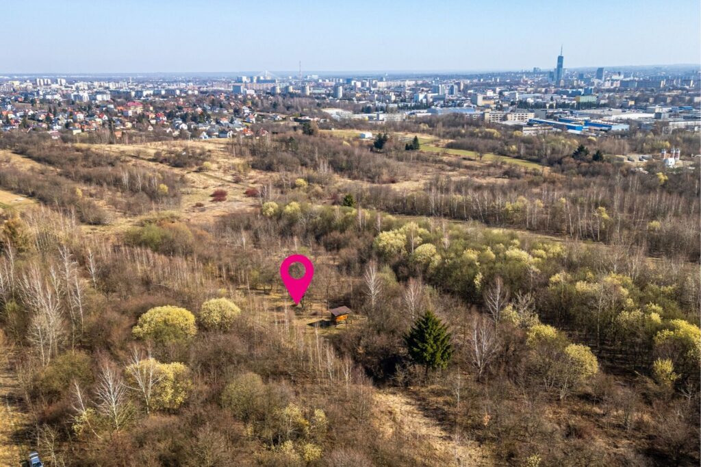 Działka inwestycyjna Staroniwa 12,84 ar - zdjęcie 3