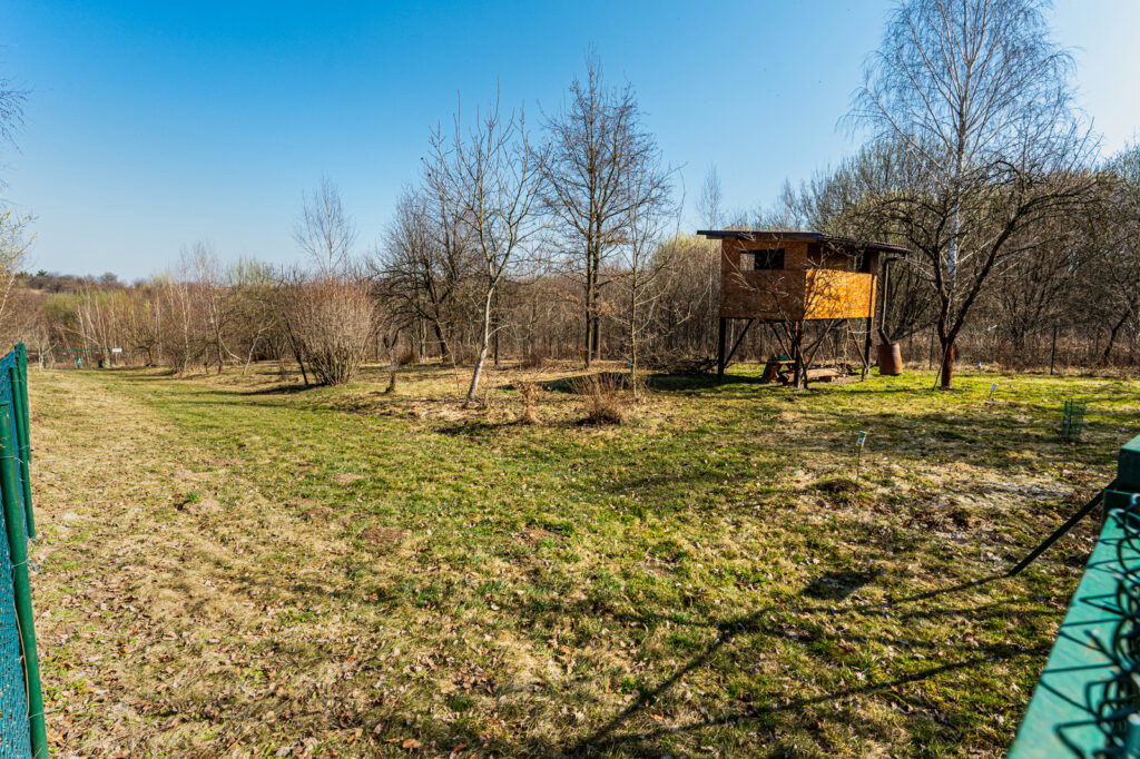 Działka inwestycyjna Staroniwa 12,84 ar - zdjęcie 1