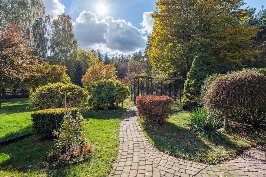 Piękny dom z bala na działce 6900m2 obok Warszawy - zdjęcie 32