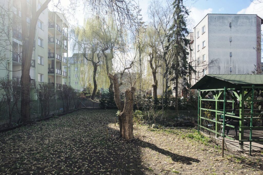 Dzień pokazowy w poniedziałek 20 kwietnia - zdjęcie 15
