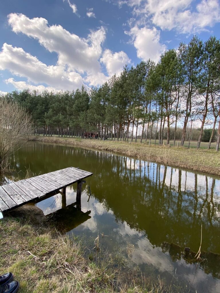2 domy, 7 pokoi + 160 m2 b.gospodarcze, staw i las - zdjęcie 8