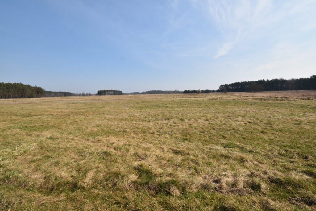 2 domy, 7 pokoi + 160 m2 b.gospodarcze, staw i las - zdjęcie 16