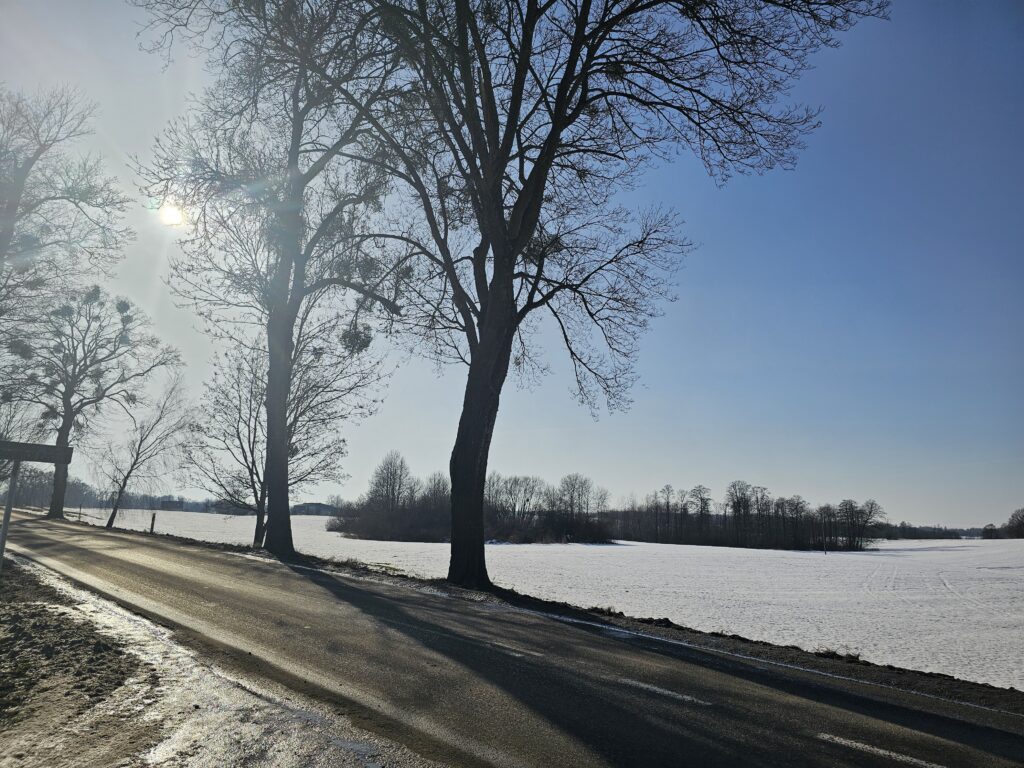 14,2 ha ziemi rolnej + 2 działki | Pudwągi - zdjęcie 3