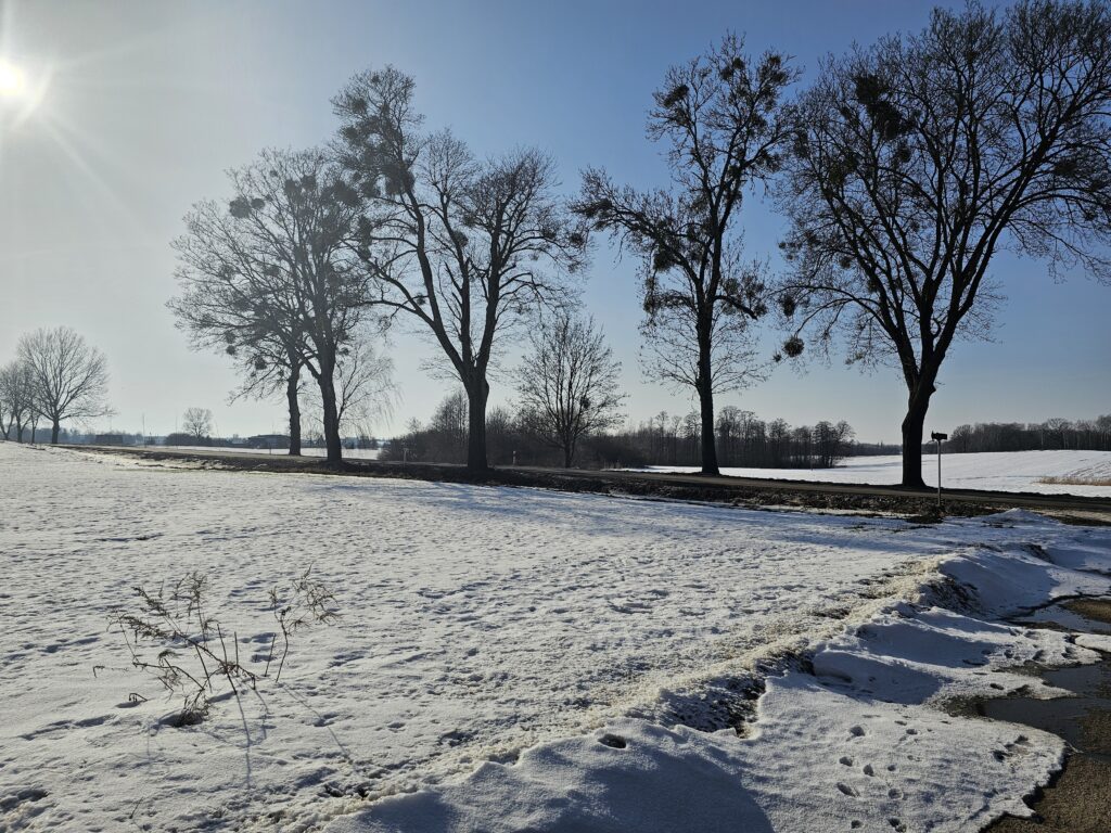 14,2 ha ziemi rolnej + 2 działki | Pudwągi - zdjęcie 4