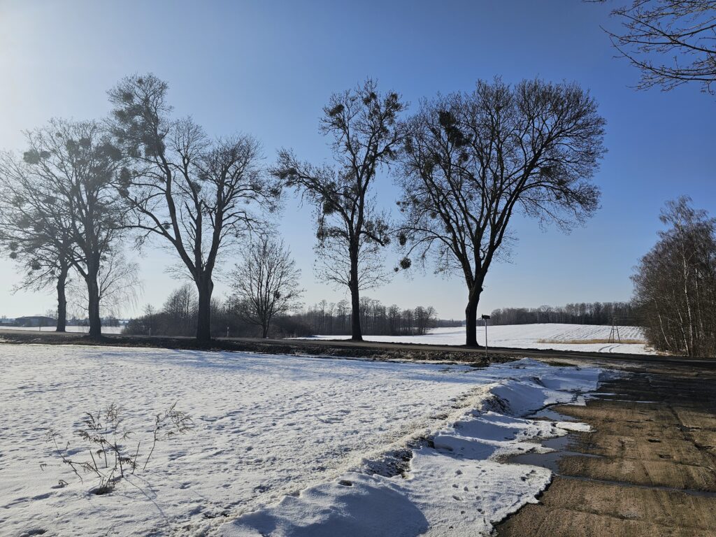 14,2 ha ziemi rolnej + 2 działki | Pudwągi - zdjęcie 5