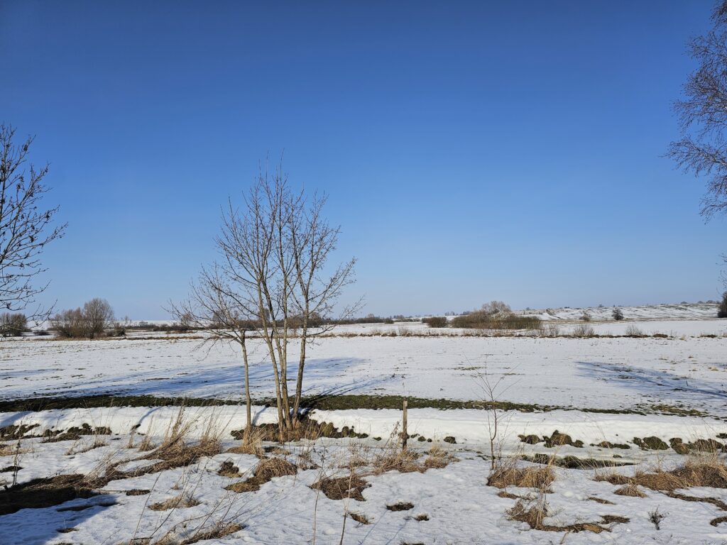 14,2 ha ziemi rolnej + 2 działki | Pudwągi - zdjęcie 11