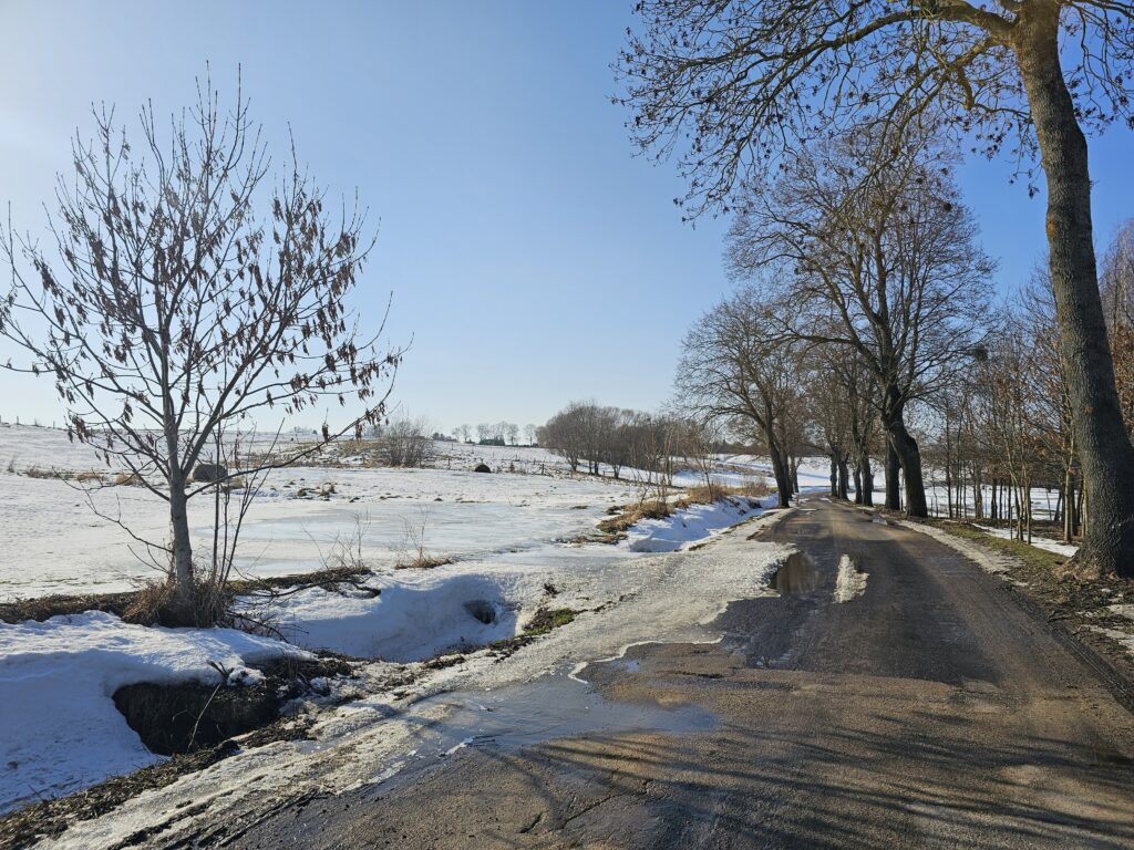14,2 ha ziemi rolnej + 2 działki | Pudwągi - zdjęcie 13