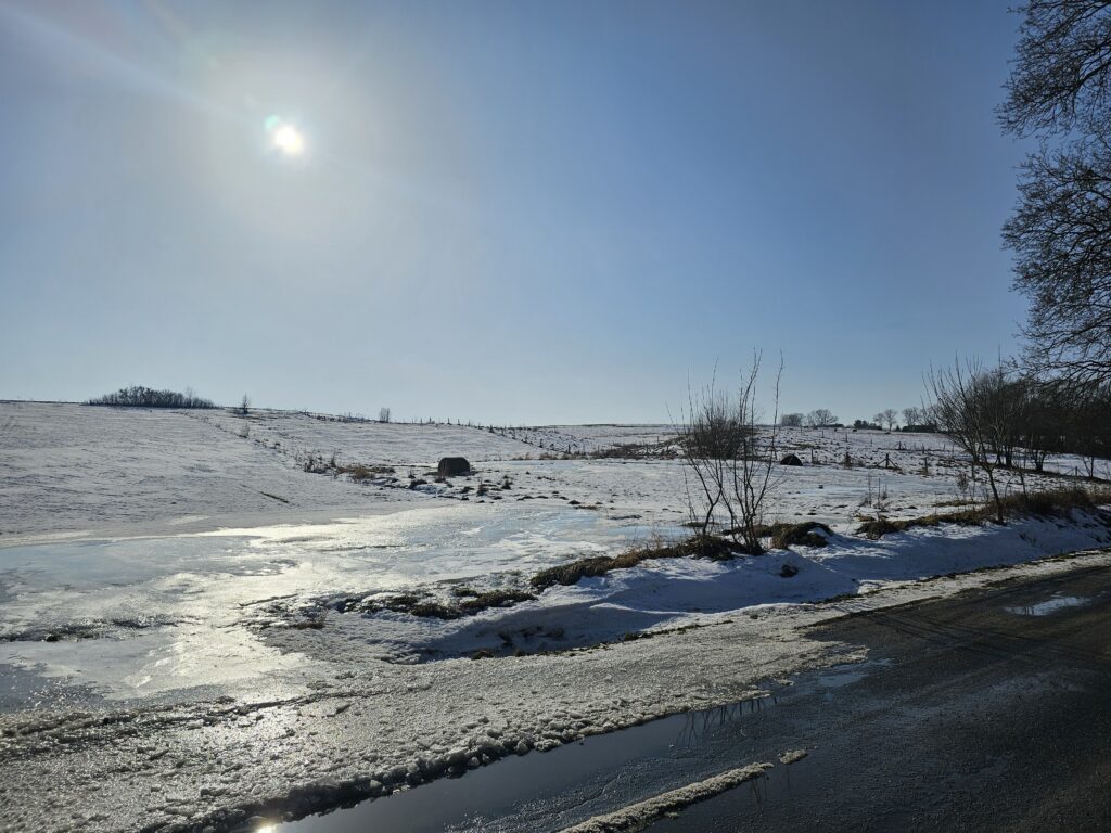 14,2 ha ziemi rolnej + 2 działki | Pudwągi - zdjęcie 15