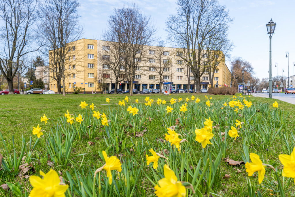 2 pokoje na wynajem | Stary Żoliborz - zdjęcie 20
