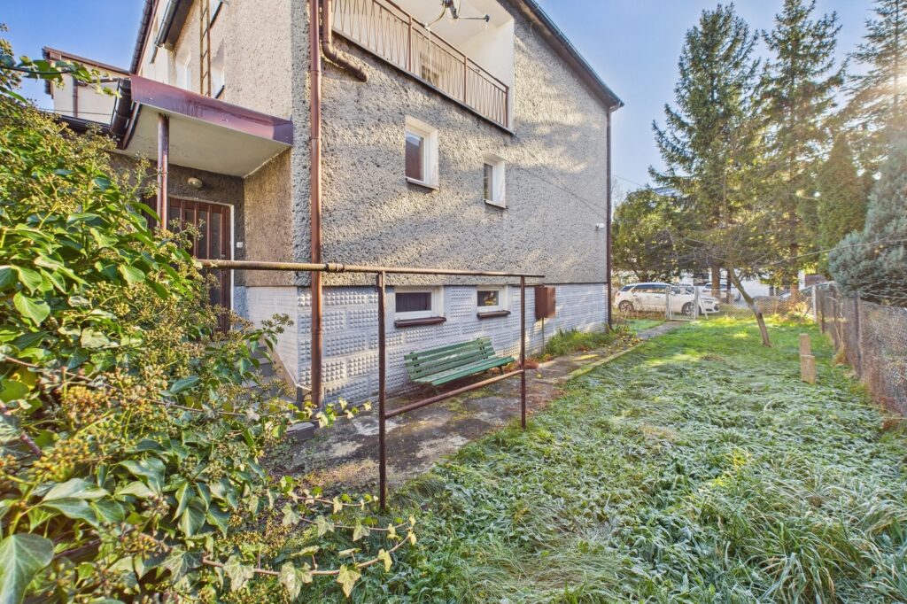 Połowa bliźniaka - zdjęcie 21
