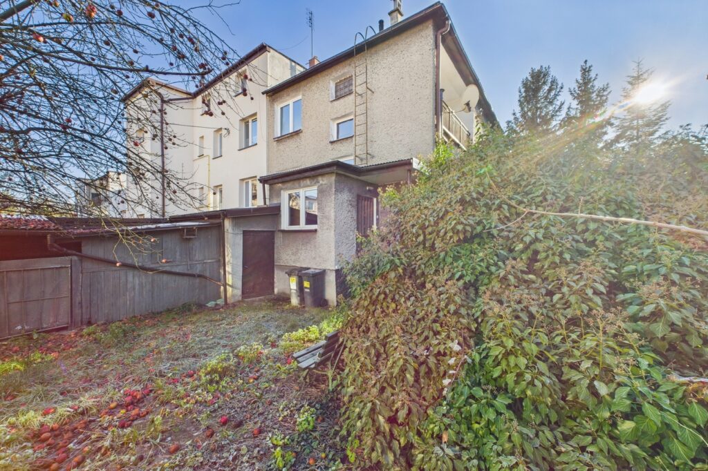 Połowa bliźniaka - zdjęcie 26