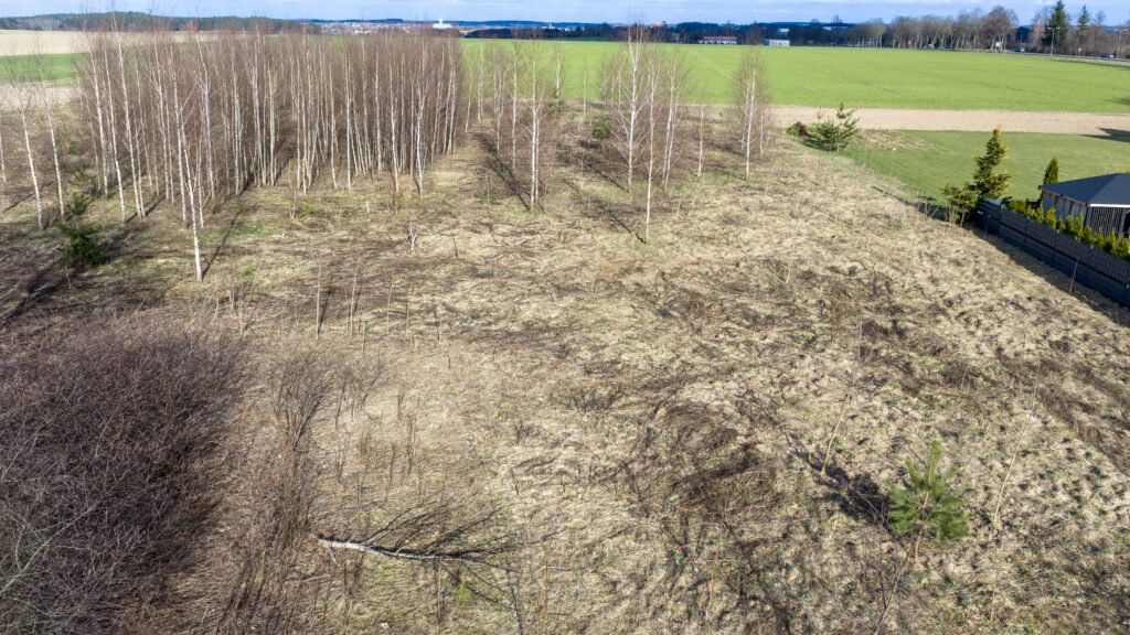 Działki pod budowę, 3 km od Nidzicy - zdjęcie 8