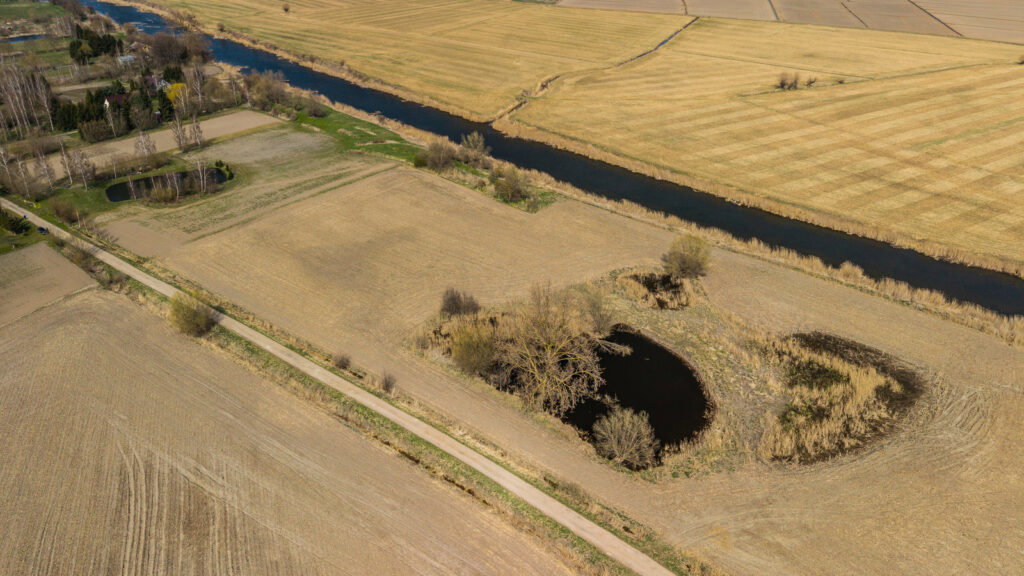 Działka o pow. 4642m2 w Stobcu gmina Stegna - zdjęcie 6