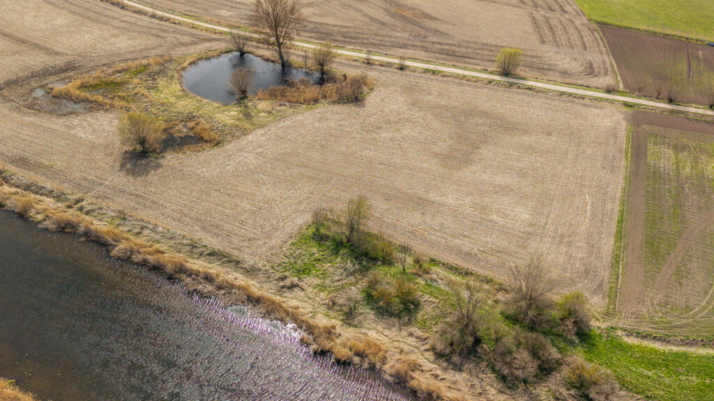 Działka o pow. 4642m2 w Stobcu gmina Stegna - zdjęcie 7