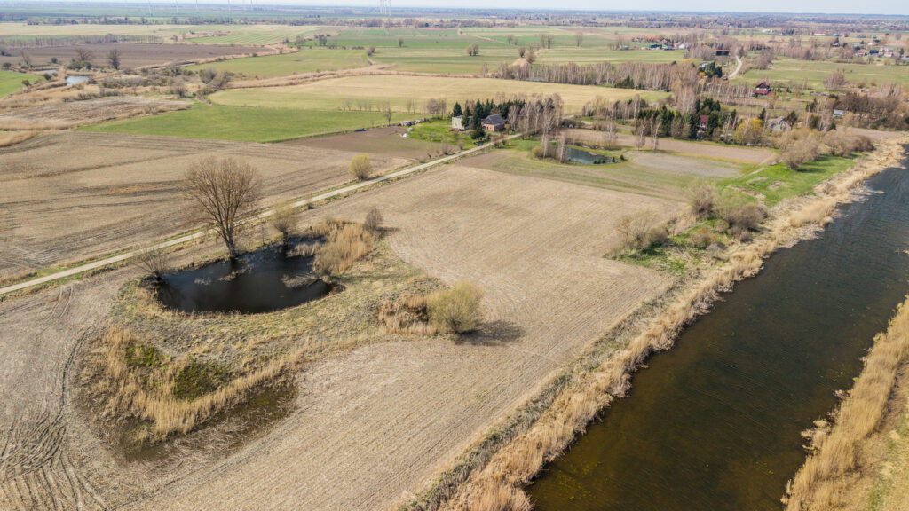 Działka o pow. 4642m2 w Stobcu gmina Stegna - zdjęcie 8